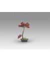 BUJIN-HI - BONSAI 45CM